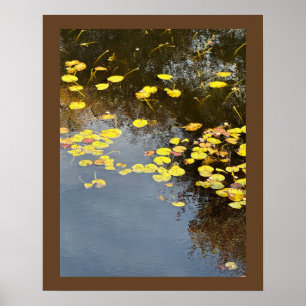 Waterlelies Foto Poster