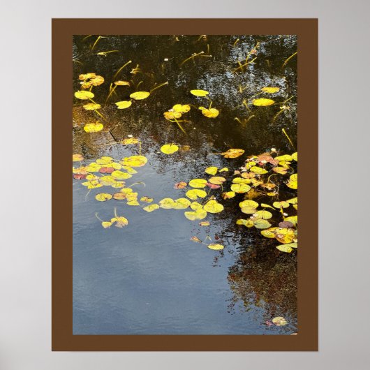 Waterlelies Foto Poster (Voorkant)
