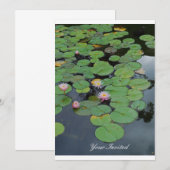 Waterlelies "Je bent uitgenodigd" Kaart (Voorkant / Achterkant)