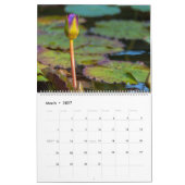 Waterlelies kalender (Mar 2027)