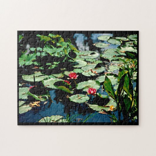 Waterlelies Legpuzzel (Horizontaal)