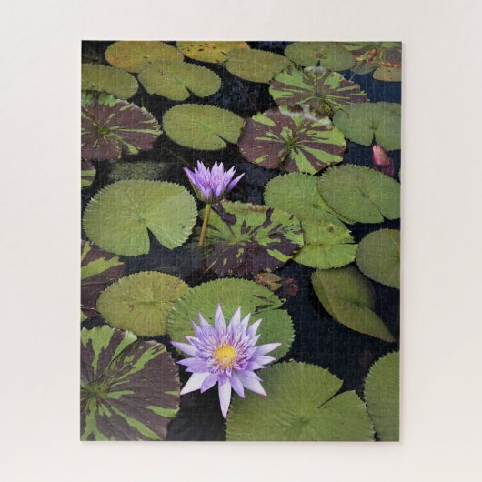 Waterlelies Legpuzzel (Verticaal)