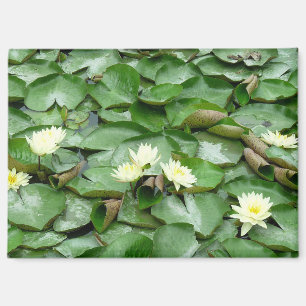 Waterlelies Magneet