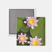 Waterlelies Magneet (Voorkant / Achterkant)