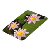 Waterlelies Magneet (Linkerzijde)