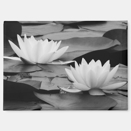 Waterlelies magneet (Voorkant)