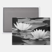 Waterlelies magneet (Voorkant / Achterkant)