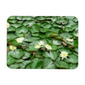 Waterlelies Magneet (Horizontaal)