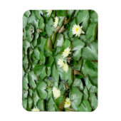 Waterlelies Magneet (Verticaal)