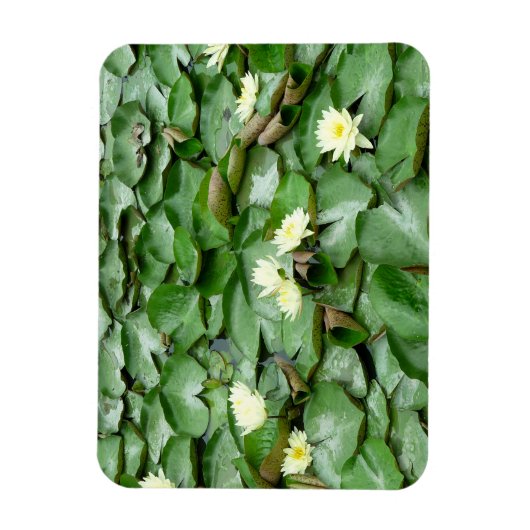 Waterlelies Magneet (Verticaal)