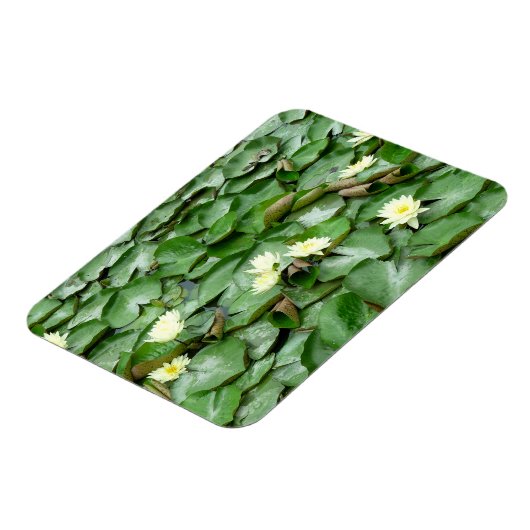 Waterlelies Magneet (Linkerzijde)