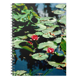 Waterlelies Notitieboek