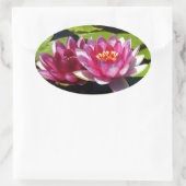 Waterlelies Ovale Sticker (Tas)