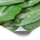Waterlelies Perfect Poster (Hoek)