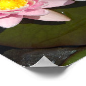 Waterlelies Poster (Hoek)