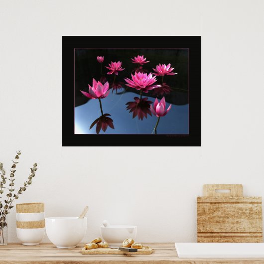 Waterlelies Poster (Keuken)