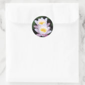 Waterlelies Ronde Sticker (Tas)