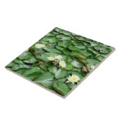 Waterlelies Tegeltje (Zijkant)
