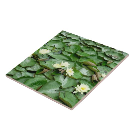 Waterlelies Tegeltje (Zijkant)