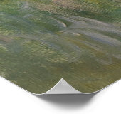 Waterleliesvijver Monet 1904 Poster (Hoek)