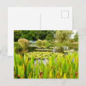 Waterlelkaart Briefkaart (Voorkant / Achterkant)