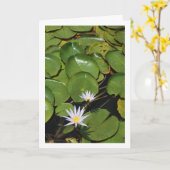 Waterlengen Kaart (Gele Bloem)