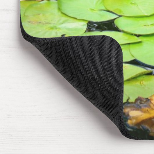 Waterlieveling Muismat (Hoek)