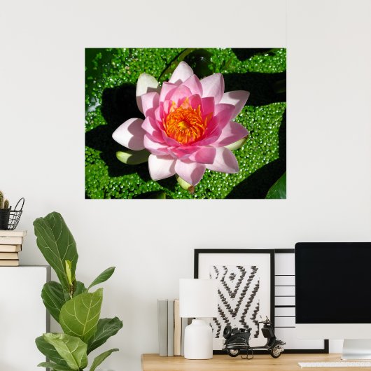 Waterlieveling Poster (Thuiskantoor)