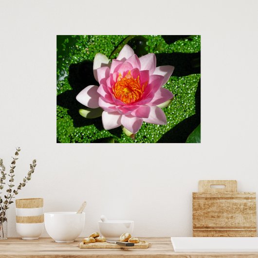 Waterlieveling Poster (Keuken)