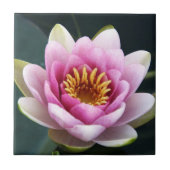 Waterlieveling Tegeltje (Voorkant)