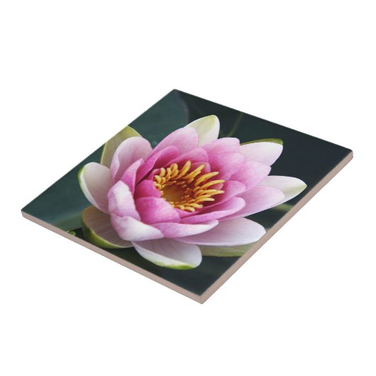 Waterlieveling Tegeltje (Zijkant)