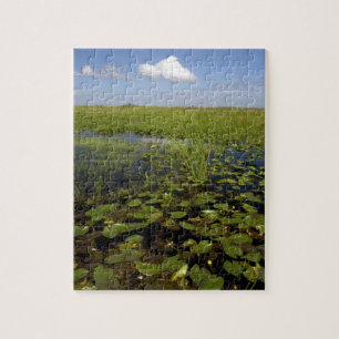 Waterliezen en zaadgras in Florida everglades Legpuzzel