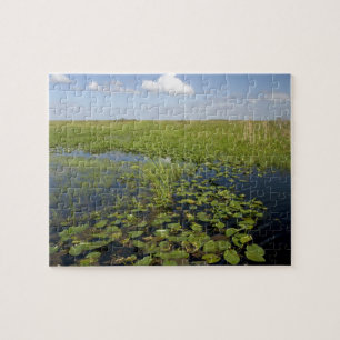 Waterliezen en zaadgras in Florida everglades Legpuzzel