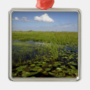 Waterliezen en zaadgras in Florida everglades Metalen Ornament