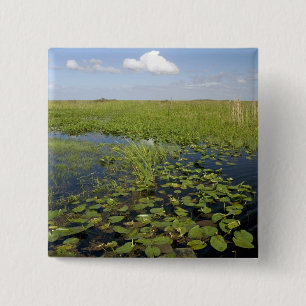 Waterliezen en zaadgras in Florida everglades Vierkante Button 5,1 Cm