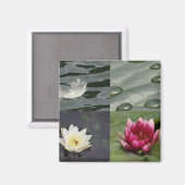  waterlĳnen magneet (Voorkant / Achterkant)