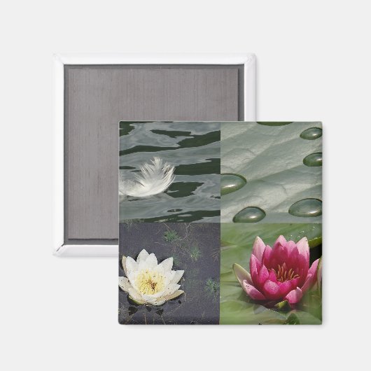  waterlĳnen magneet (Voorkant / Achterkant)