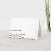 Waterlilies, CT Sharon Kaart (Achterkant)