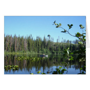 Waterlilies Peaceful Afbeelding Psalm