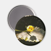 WaterLilly Magneet (Voorkant / Achterkant)