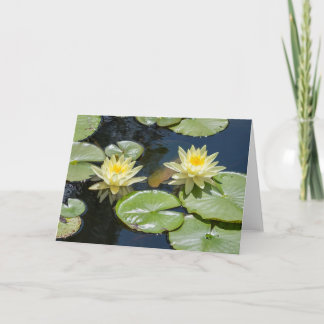 Waterlily Blank Note Card Kaart