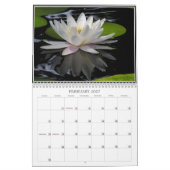 Waterlily Calendar Kalender (Feb 2027)