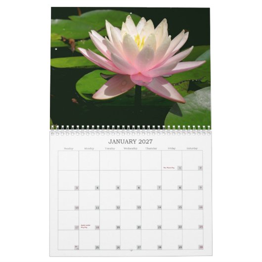 Waterlily Calendar Kalender (Jan 2027)