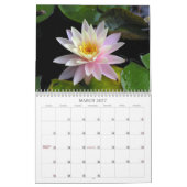 Waterlily Calendar Kalender (Mar 2027)
