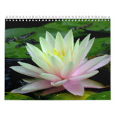 Waterlily Calendar Kalender (Hoes)