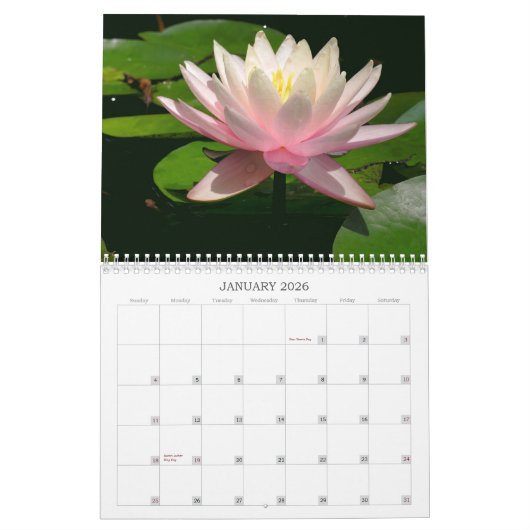 Waterlily Calendar Kalender (Jan 2026)