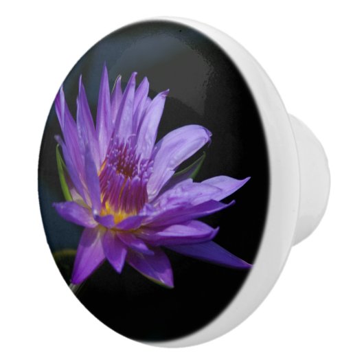 Waterlily Ceramic Knob. Keramische Knop (Rechts)