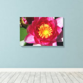 WaterLily CloseUp Canvas Afdruk (Insitu (Houten vloer))