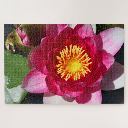 WaterLily CloseUp Legpuzzel (Horizontaal)