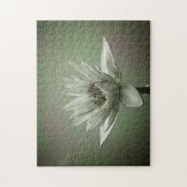 Waterlily green tone puzzle legpuzzel